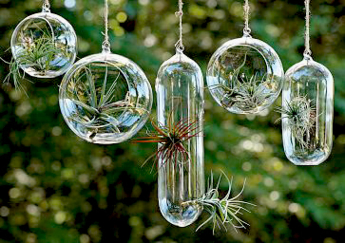 Hanging Glass Bubbles