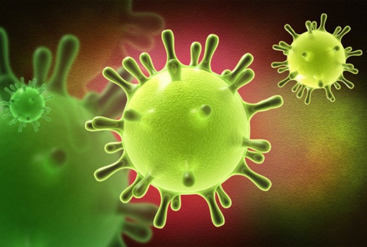 Two dead as a result of new SARS-like Virus