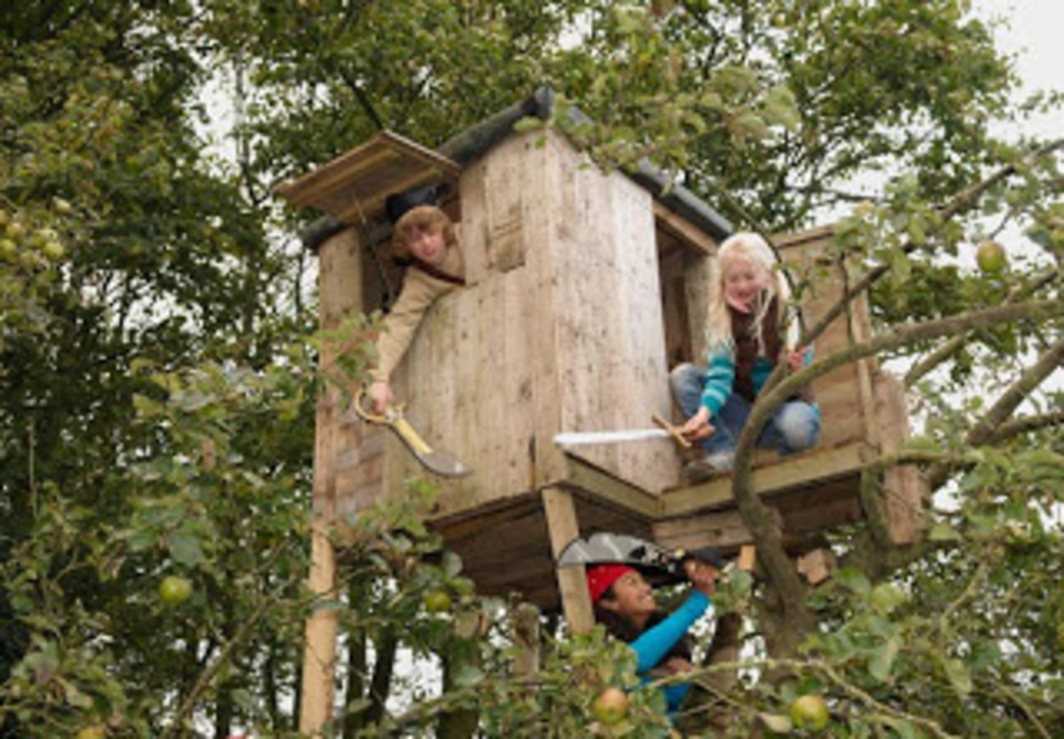 How to Build A Tree House - Treehouse Designs Guide - HubPages