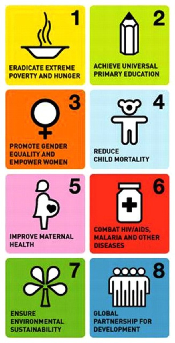 The Millennium Development Goals (MDGs) are eight objectives to eliminate certain international 'wrongs' and make the world a better place, which were officially established following the UN Summit of 2000.