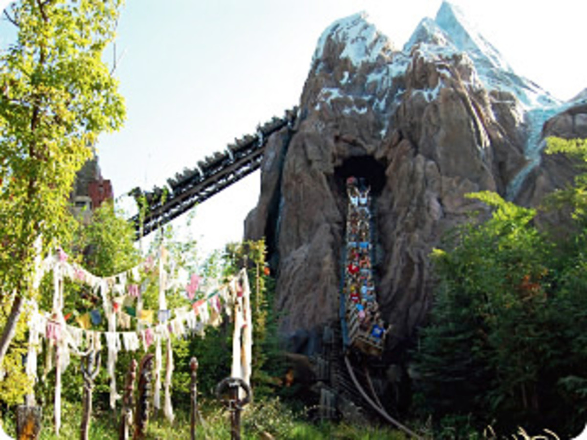 Animal Kingdom's Expedition Everest coaster travels in and out of the Forbidden Mountain, increasing the thrill factor.