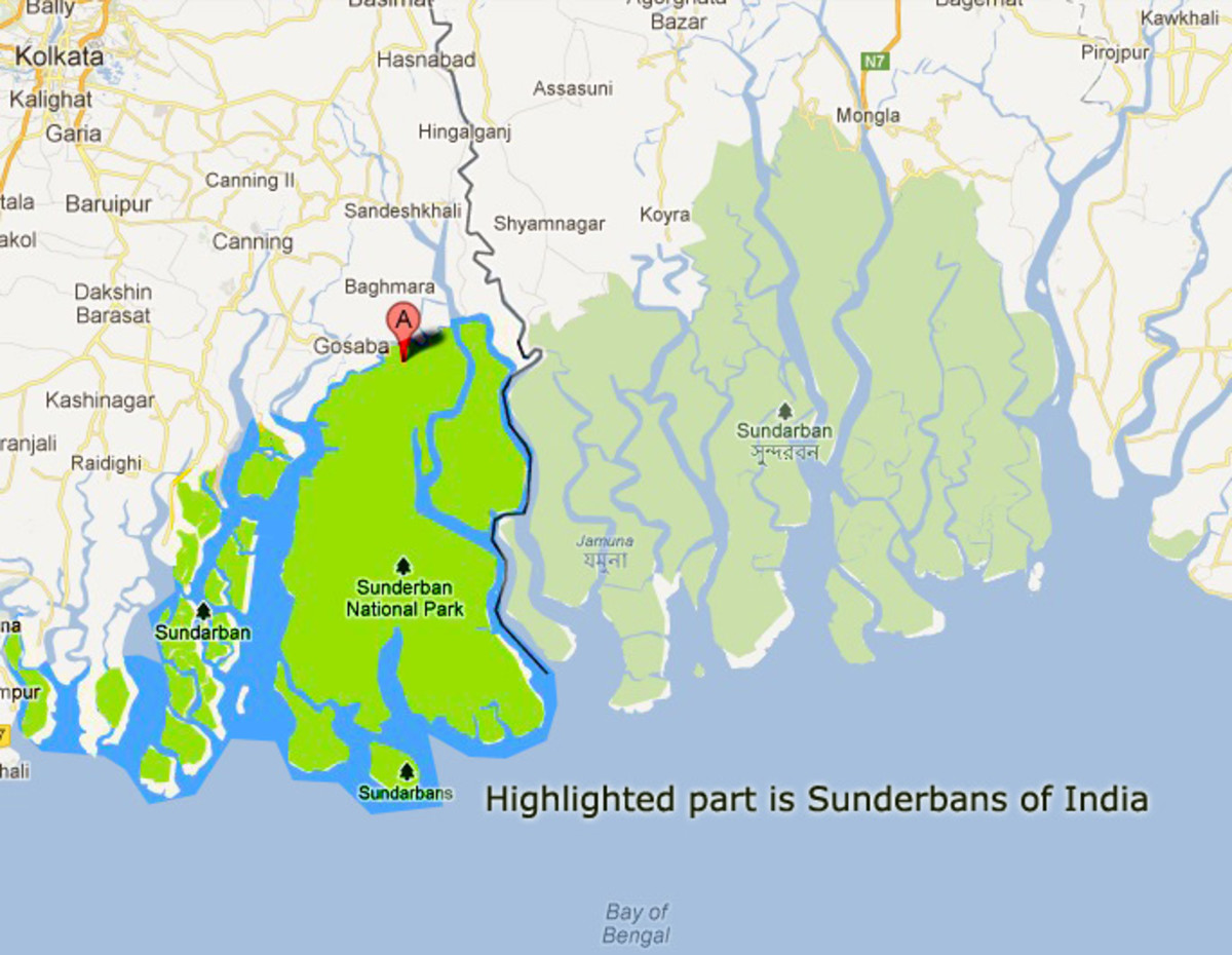 Biosphere in West Bengal: The Tiger Needs the Crab: Bengal Tiger; Fiddler Crab; Sundarban National Park