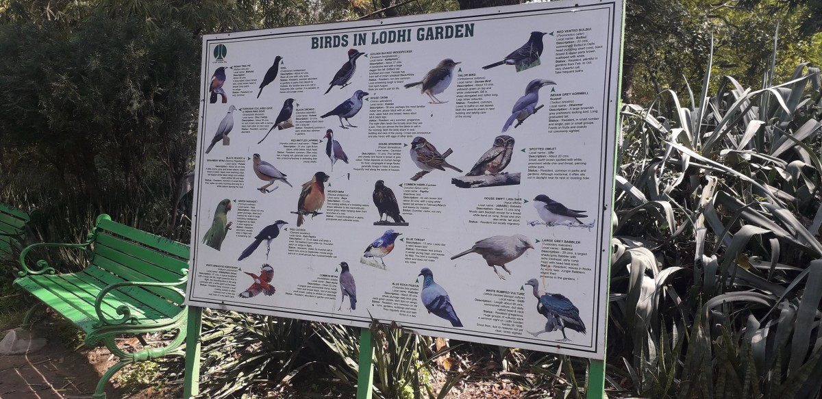 The display board, about the resident birds at the Lodhi Garden 