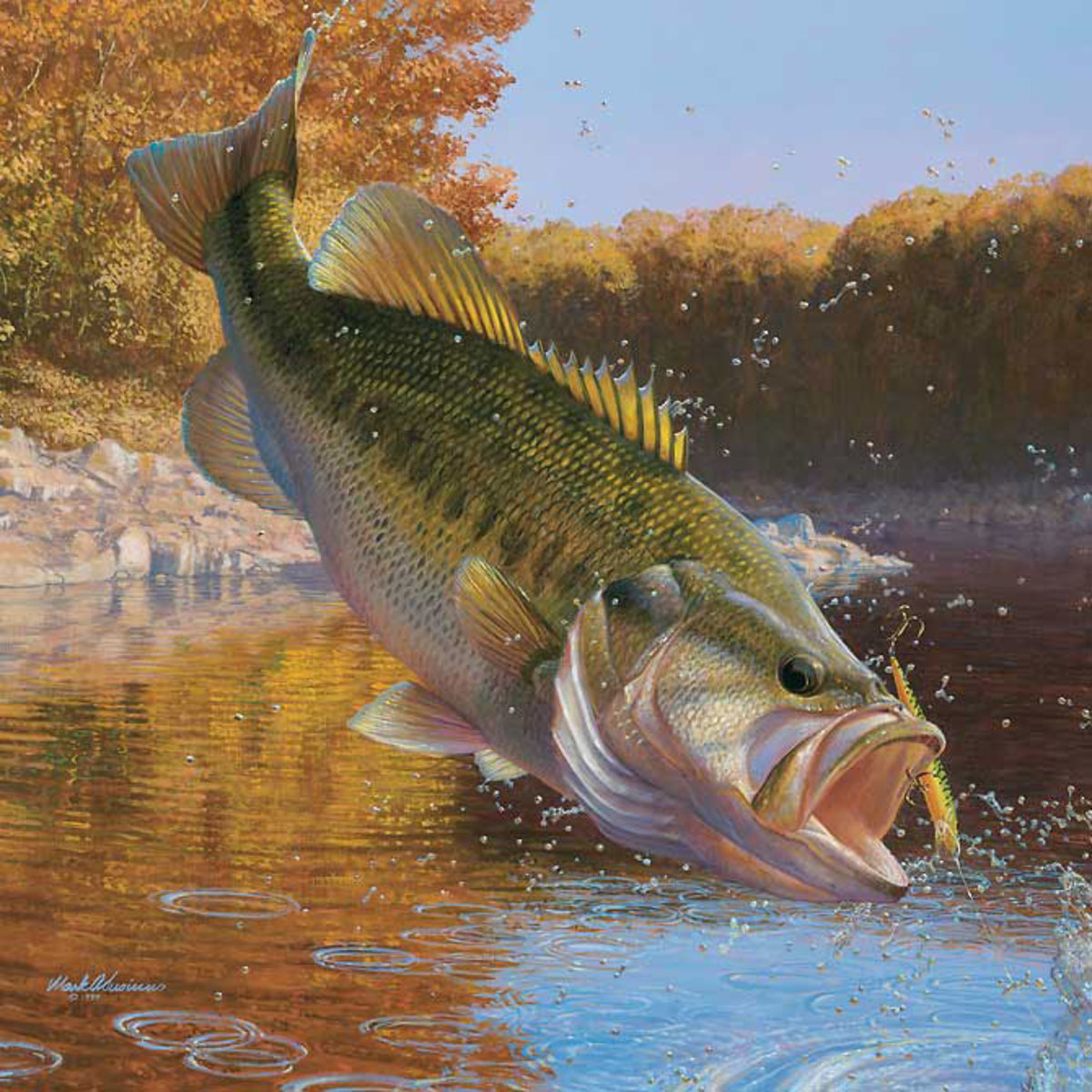 Bass Fishing Secrets