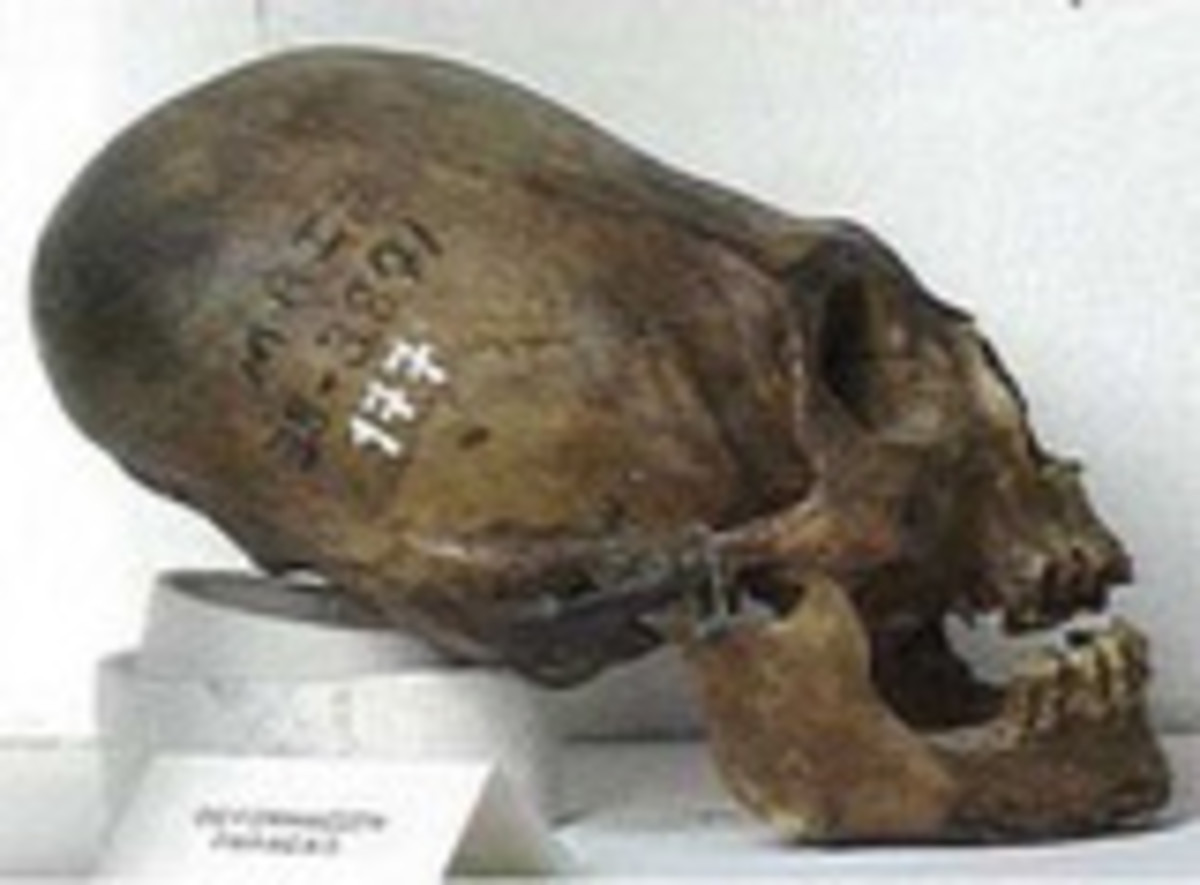 mysterious-human-remains-paranormal-mysteries
