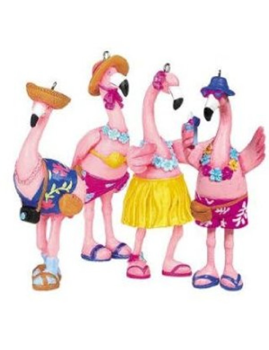 Fun and frolics with the Flamingo family