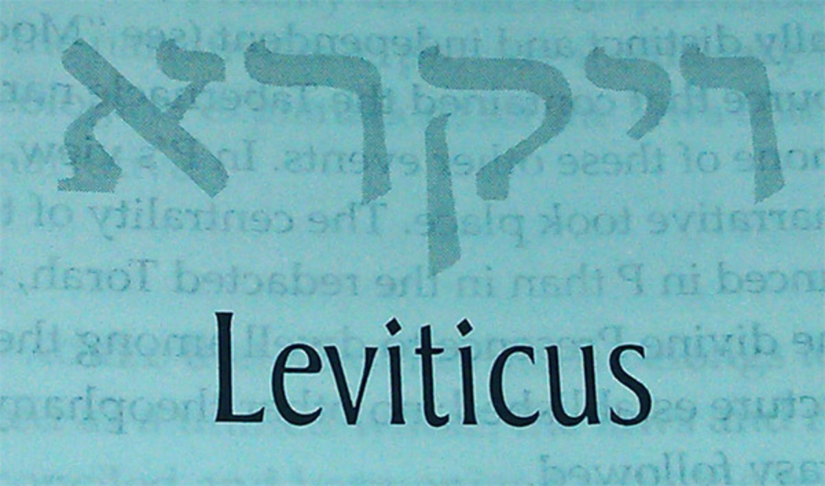 What does Leviticus REALLY say about homosexuality?