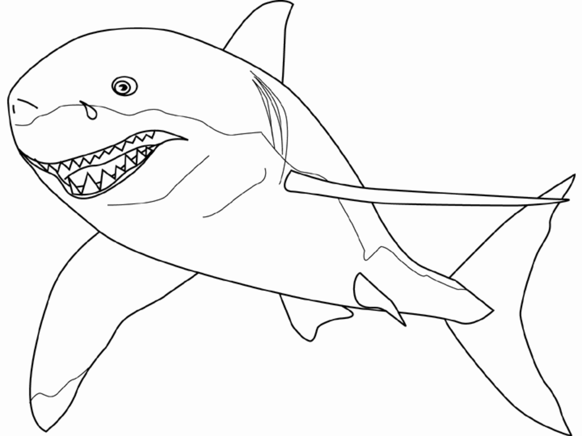 pictures-of-sharks-for-kids-to-color-in
