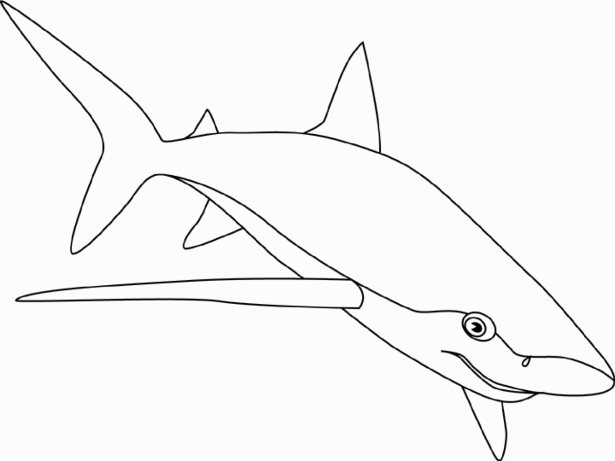 pictures-of-sharks-for-kids-to-color-in