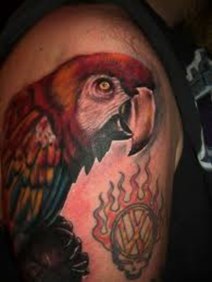 parrot-tattoos-and-meanings