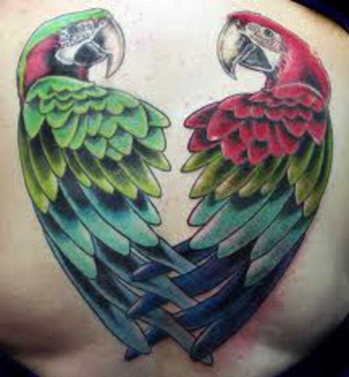 Parrot Tattoos And Designs-Parrot Tattoo Meanings And Ideas - HubPages