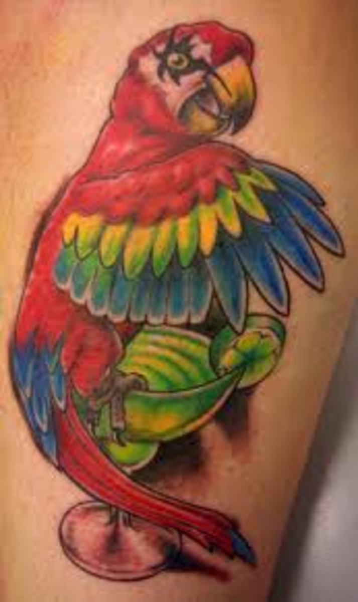 Trevor came in and asked for a parrot to match one his grandfather had.  What a pleasure to make this tattoo! Thank you! #traditionaltattoo… |  Instagram