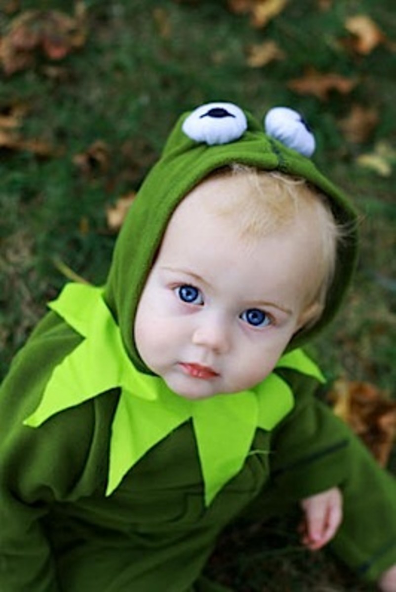Kermit the Frog Costumes