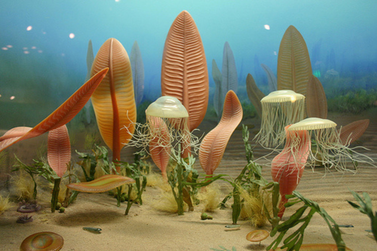 Precambrian life was restricted to the ocean. 