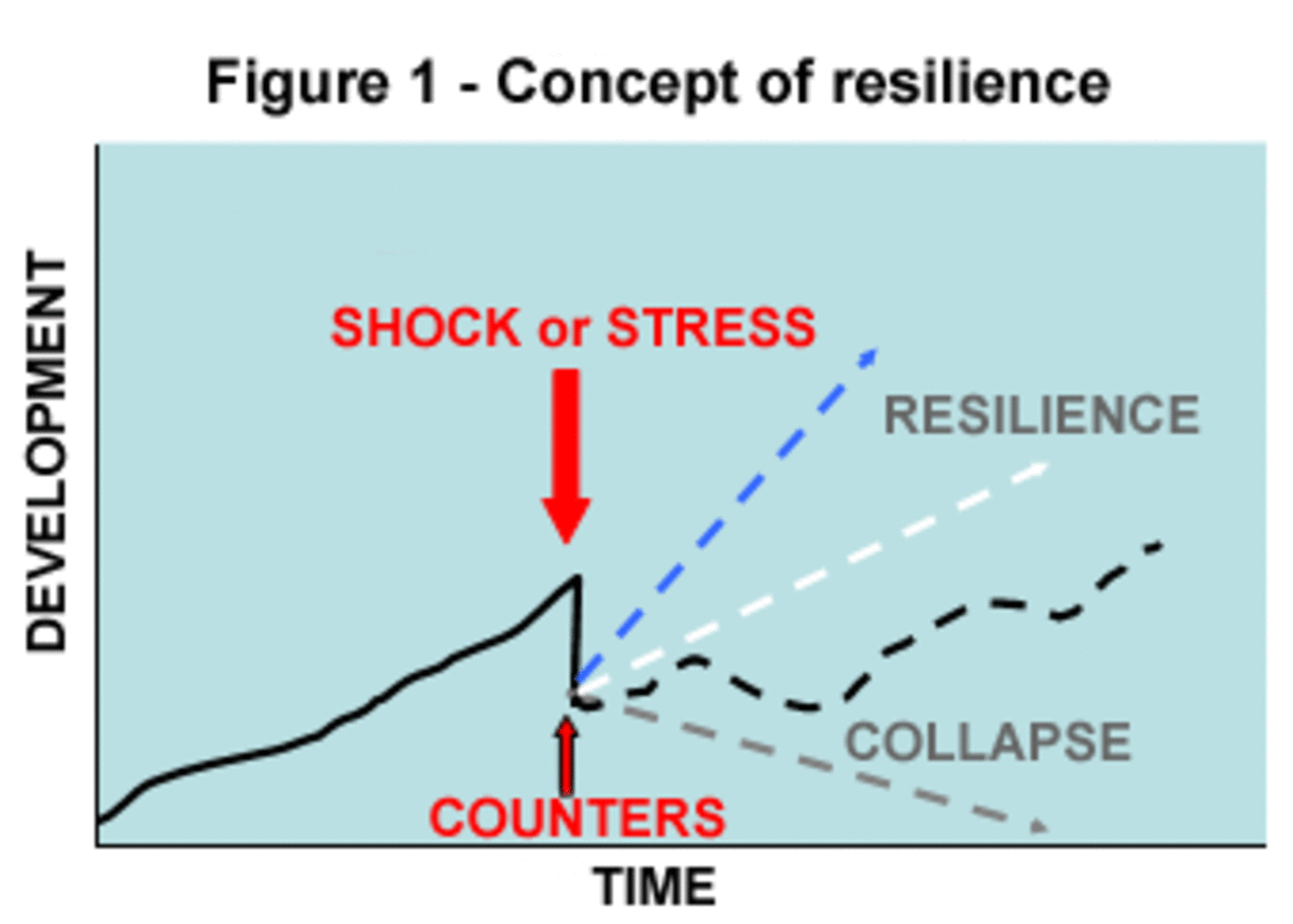 Resilience is a positive adaptive strategy to stress