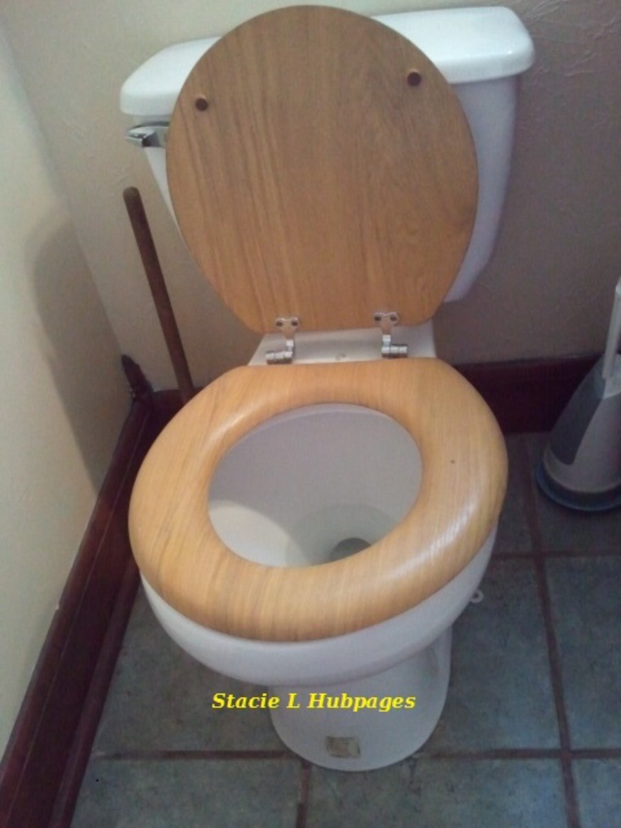 how-any-woman-can-replace-the-old-toilet-herself