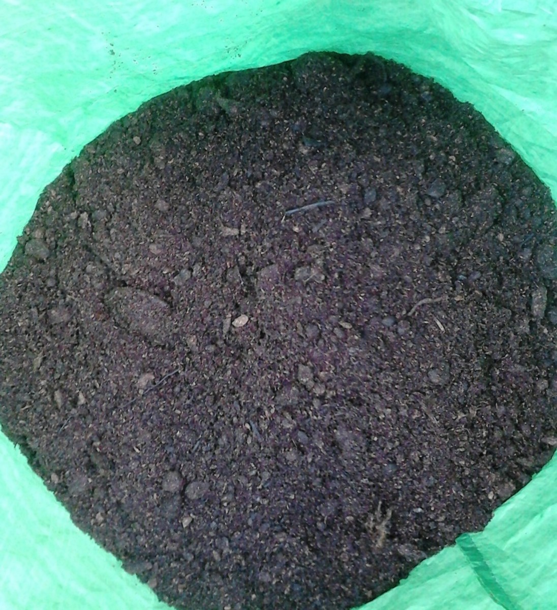 Once you have placed your potatoes in the potato bag, cover them with a layer of compost and give the good watering.