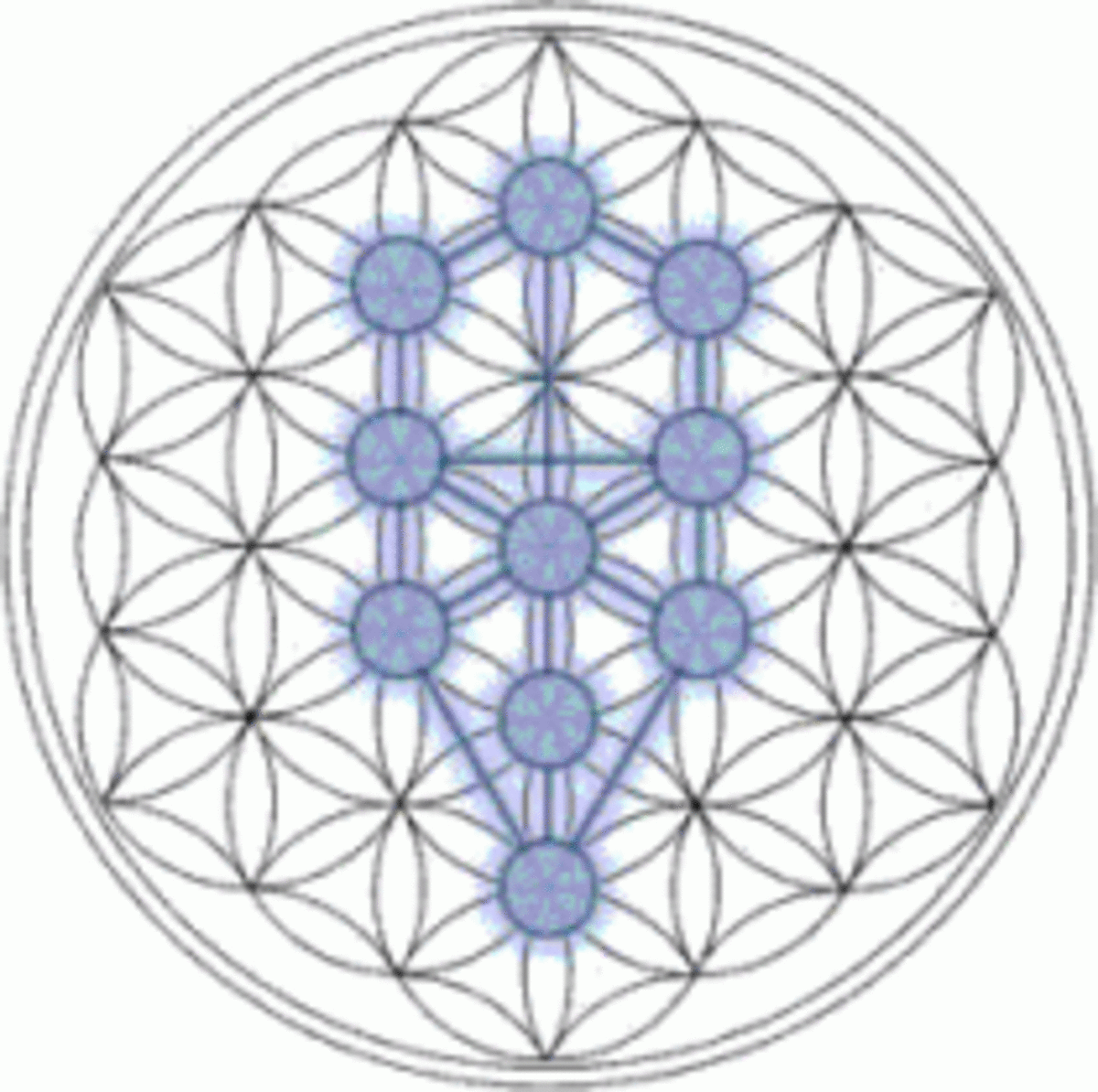 The Tree of Life fits inside the Flower of Life easily, showing why this symbol of the ancients was an important source of knowledge.
