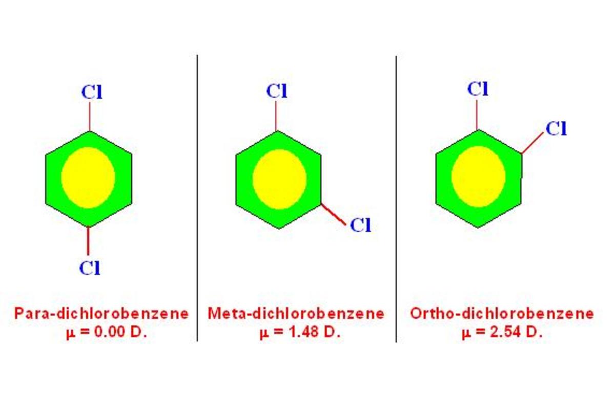 Due to both electron withdrawing "Cl" groups on opposite ends, dipole moments of two C-Cl bonds cancel each other in para isomer. In ortho isomer, due to orientation, effect of two C-Cl bonds reinforce each other to give highest value.