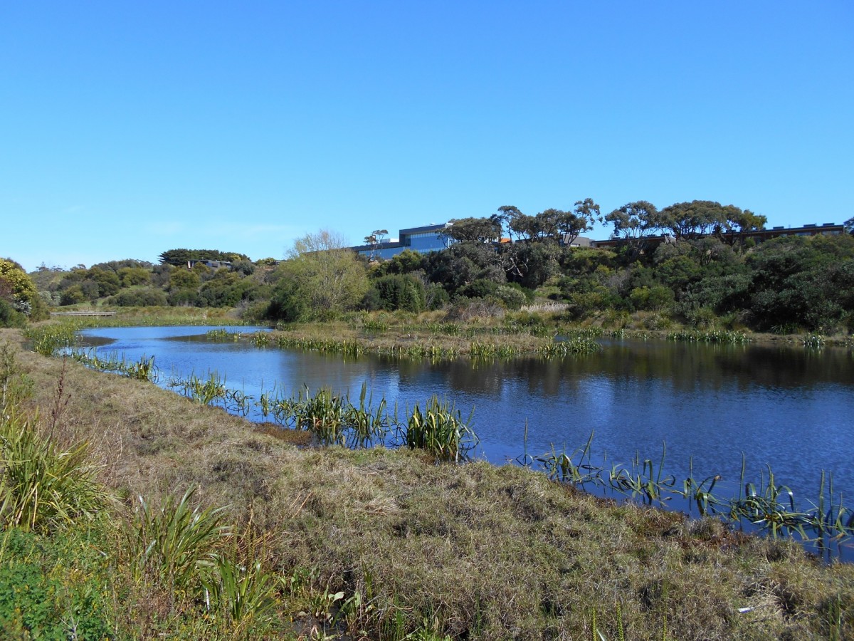 The wetlands at the RACV holiday resort. In the distance is the main building of RACV.