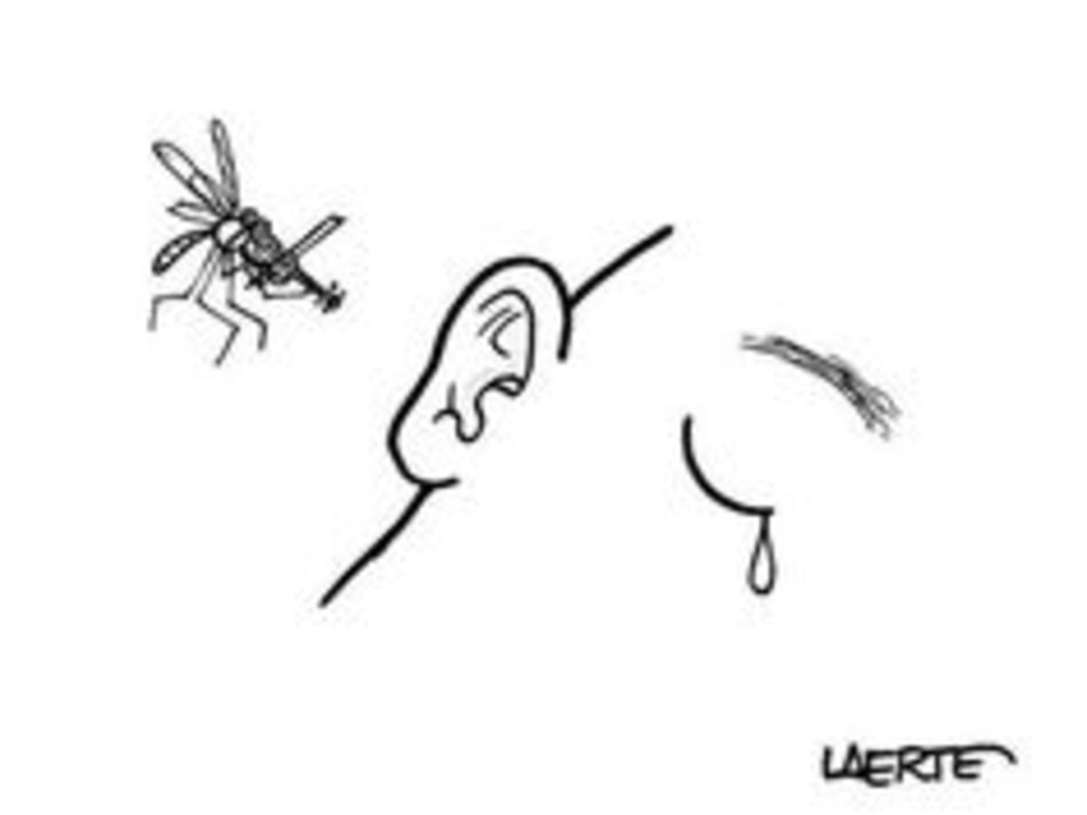 why-mosquitoes-buzz-in-peoples-ears