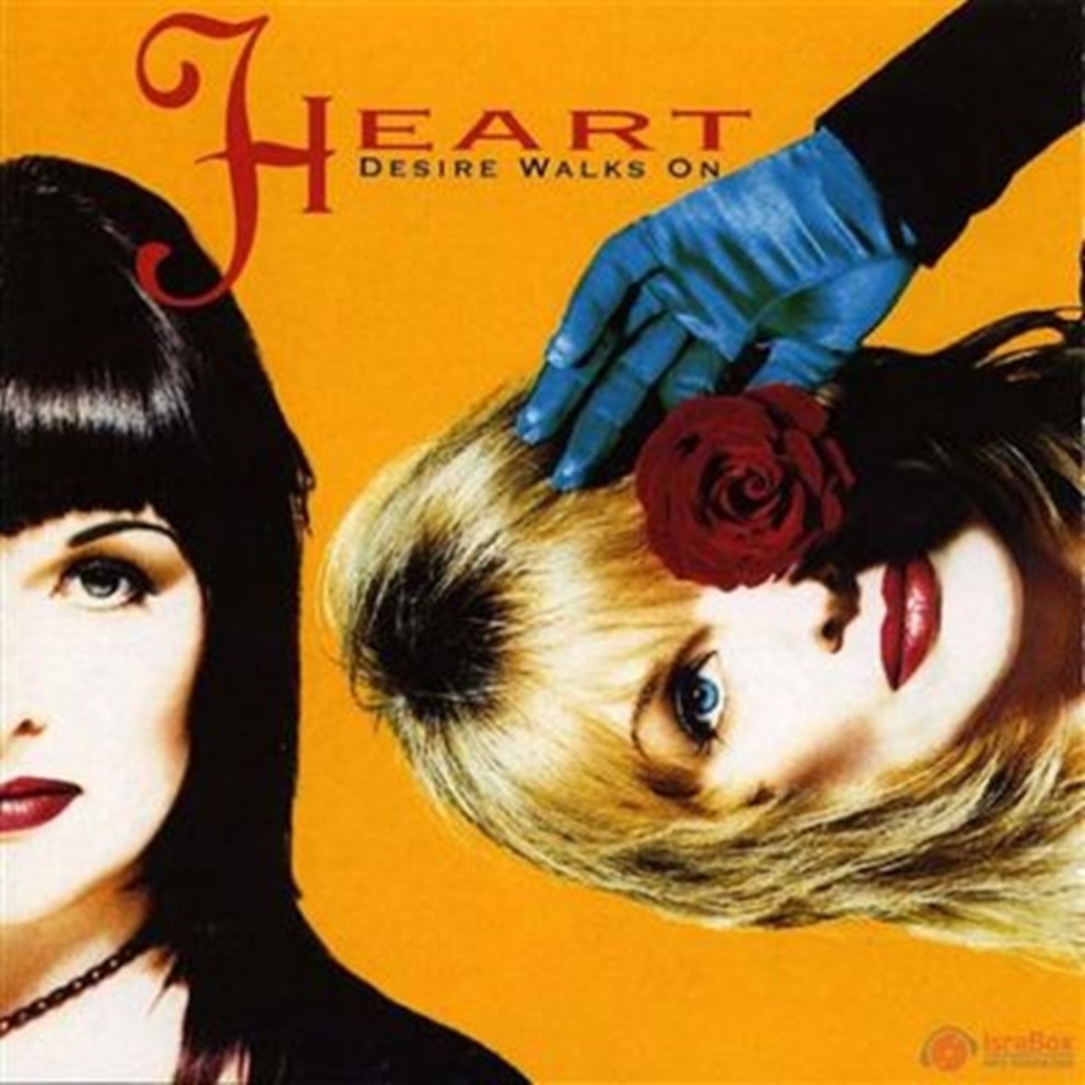 Front cover of Heart's 1993 album, "Desire Walks On."