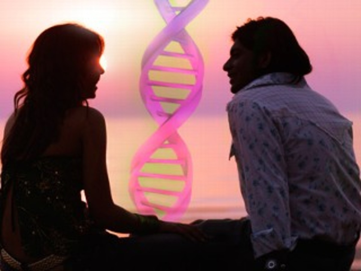 Human Female Mate Choice from an Evolutionary Perspective