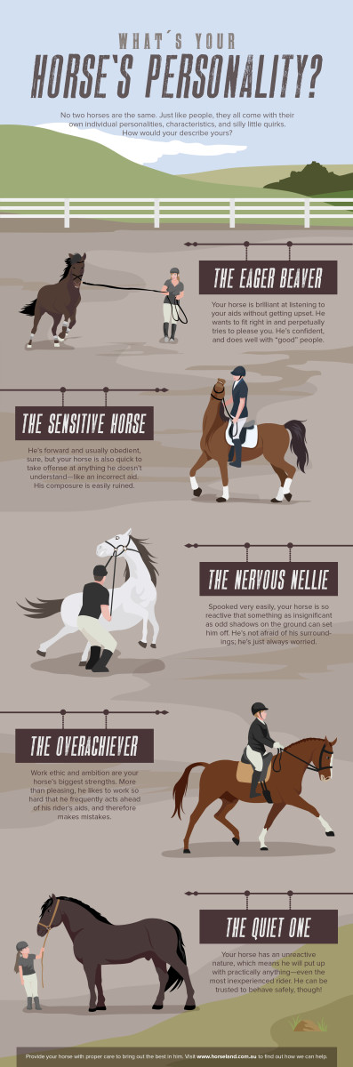 7-wonderful-and-fun-facts-about-horses
