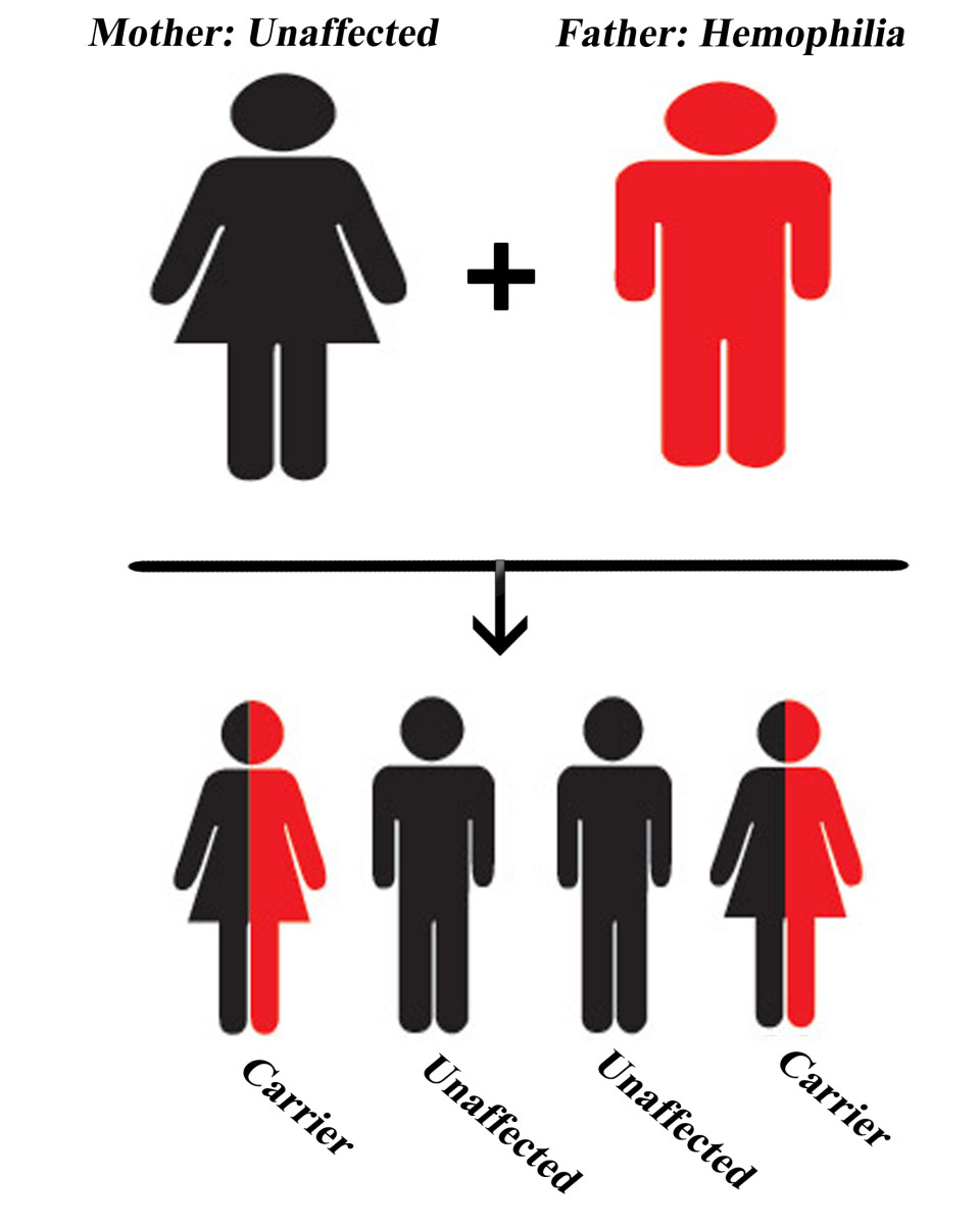 Мать гемофилии отец здоров