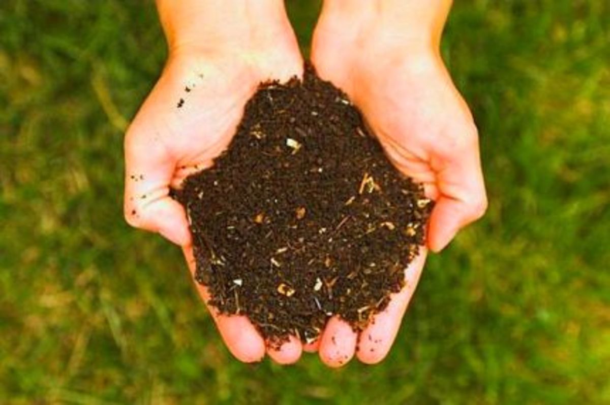 Grab a handful of dirt (The Earth Card)