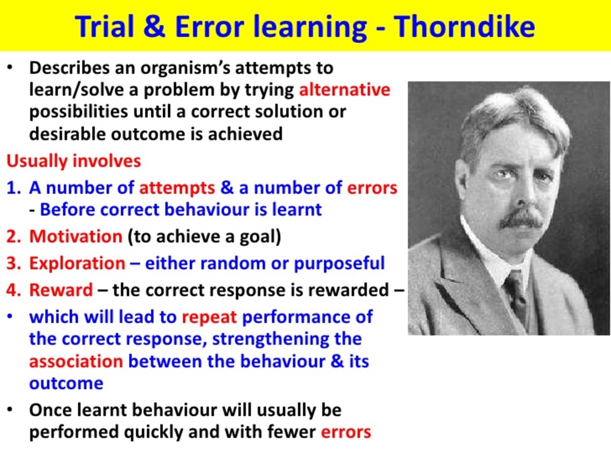 learning-through-trial-and-errors