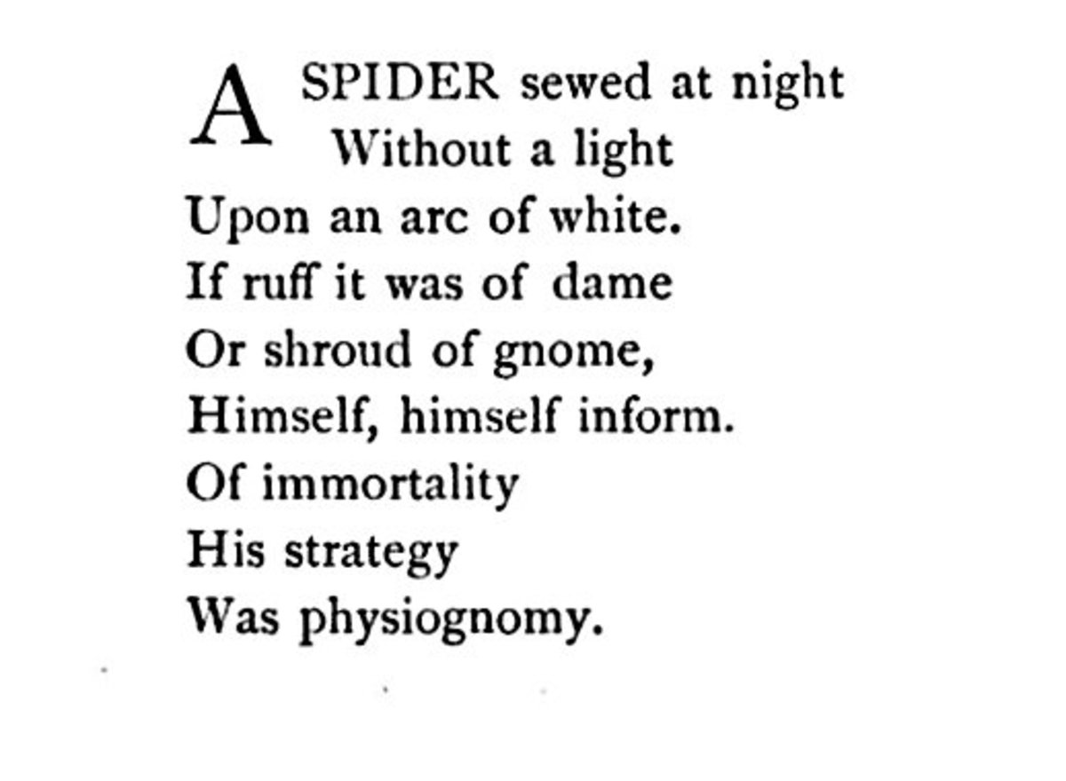 spiders-and-peotry