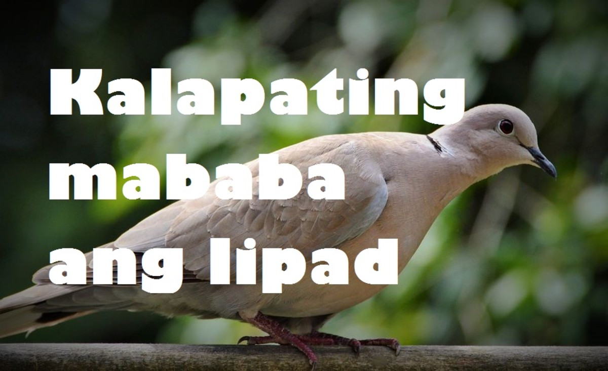 filipino-idioms