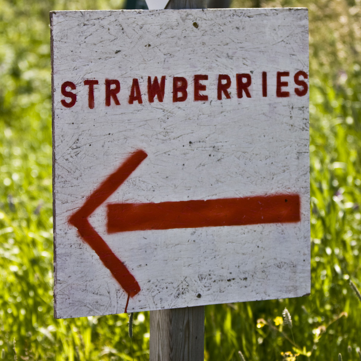 benefits-of-eating-strawberries