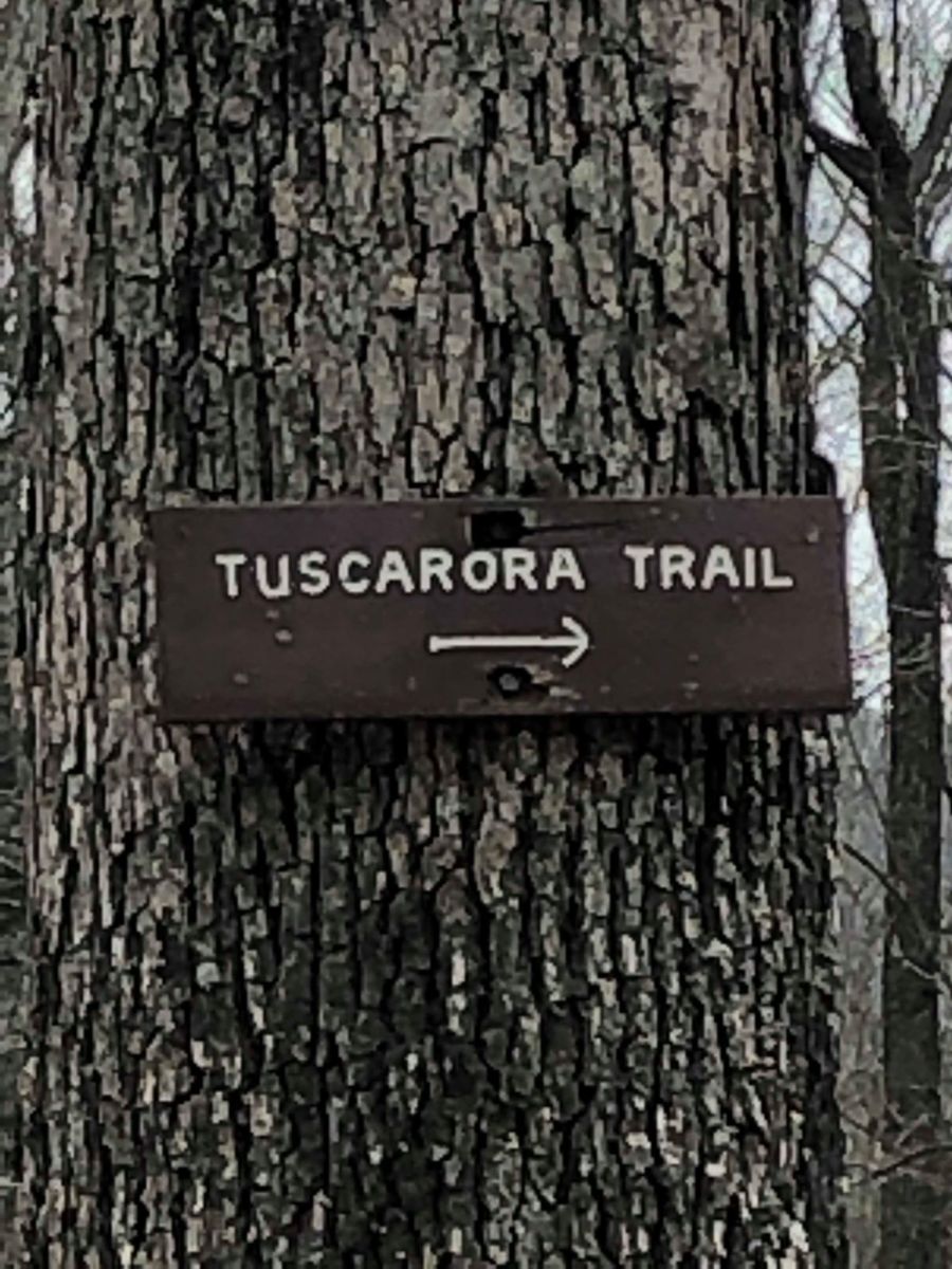 Small sign is part of the "Tuscarora Trail" in Spurce Pine Park between Hedgesville and Berkeley Springs