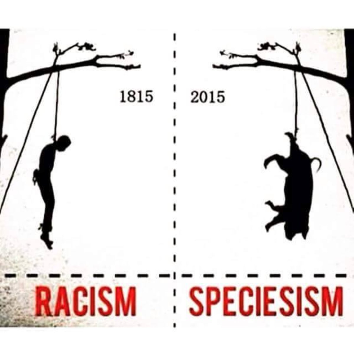 Speciesism - Where Humans Have Failed