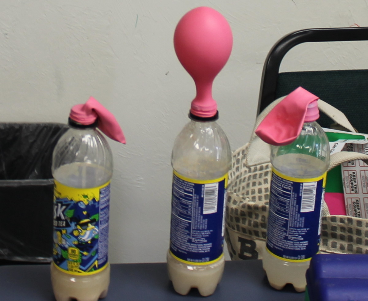 Final Results of Bottles, Balloons, and Budding Activity