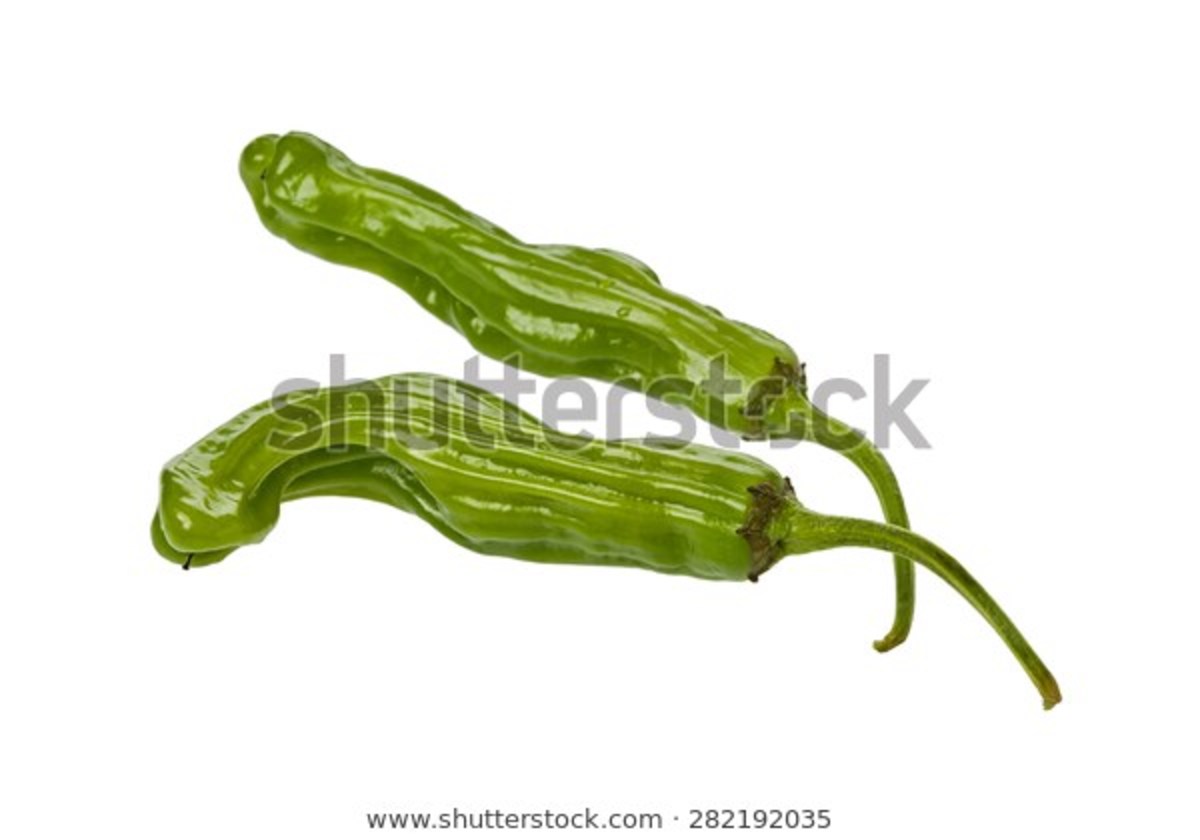 Green Shishito Peppers