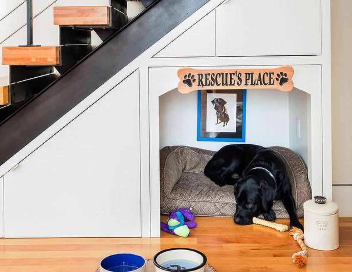 dog-house-under-stairs