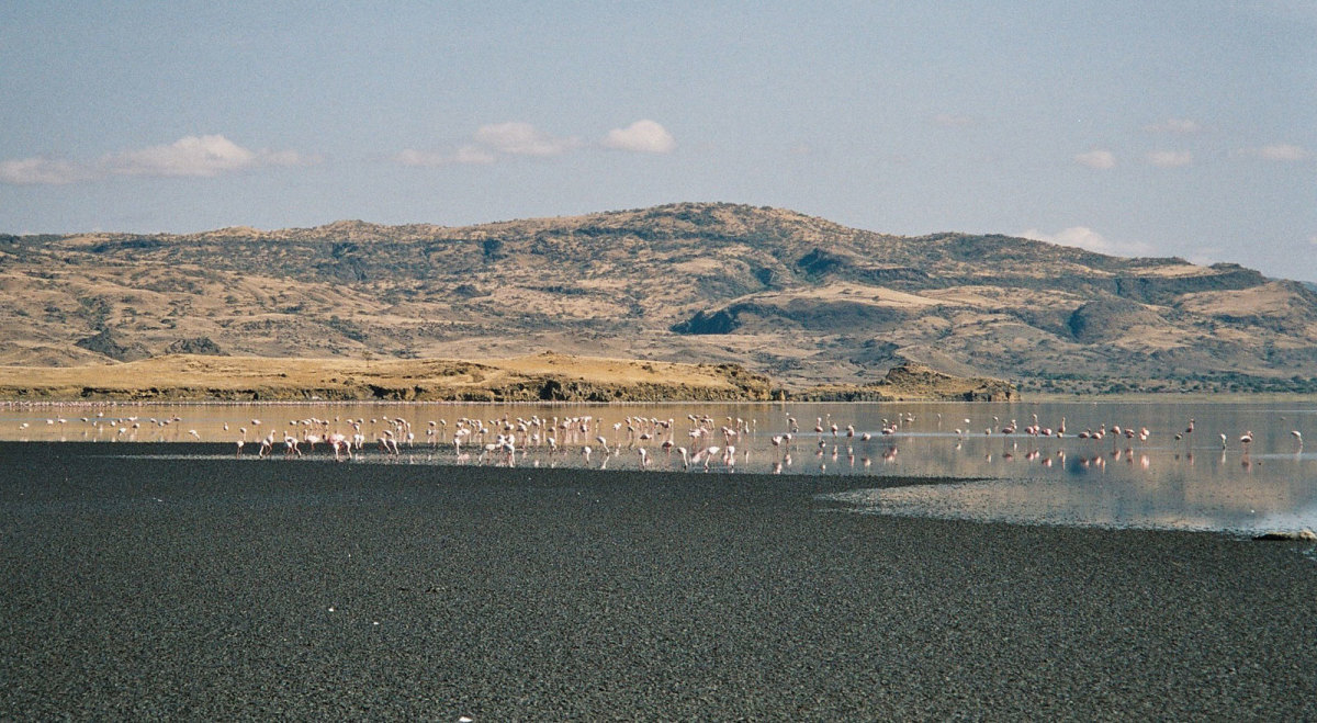 lake-natron-one-of-the-unique-lakes-in-the-world