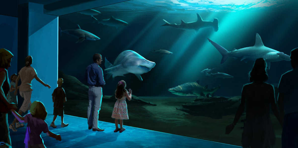 12-of-the-largest-aquariums-in-the-world