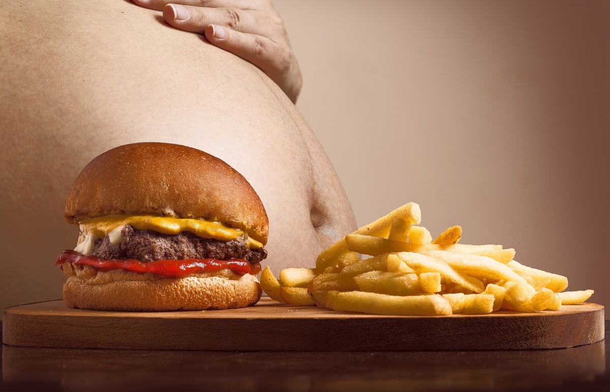 Obesity is one of the most crucial public health problems worldwide.