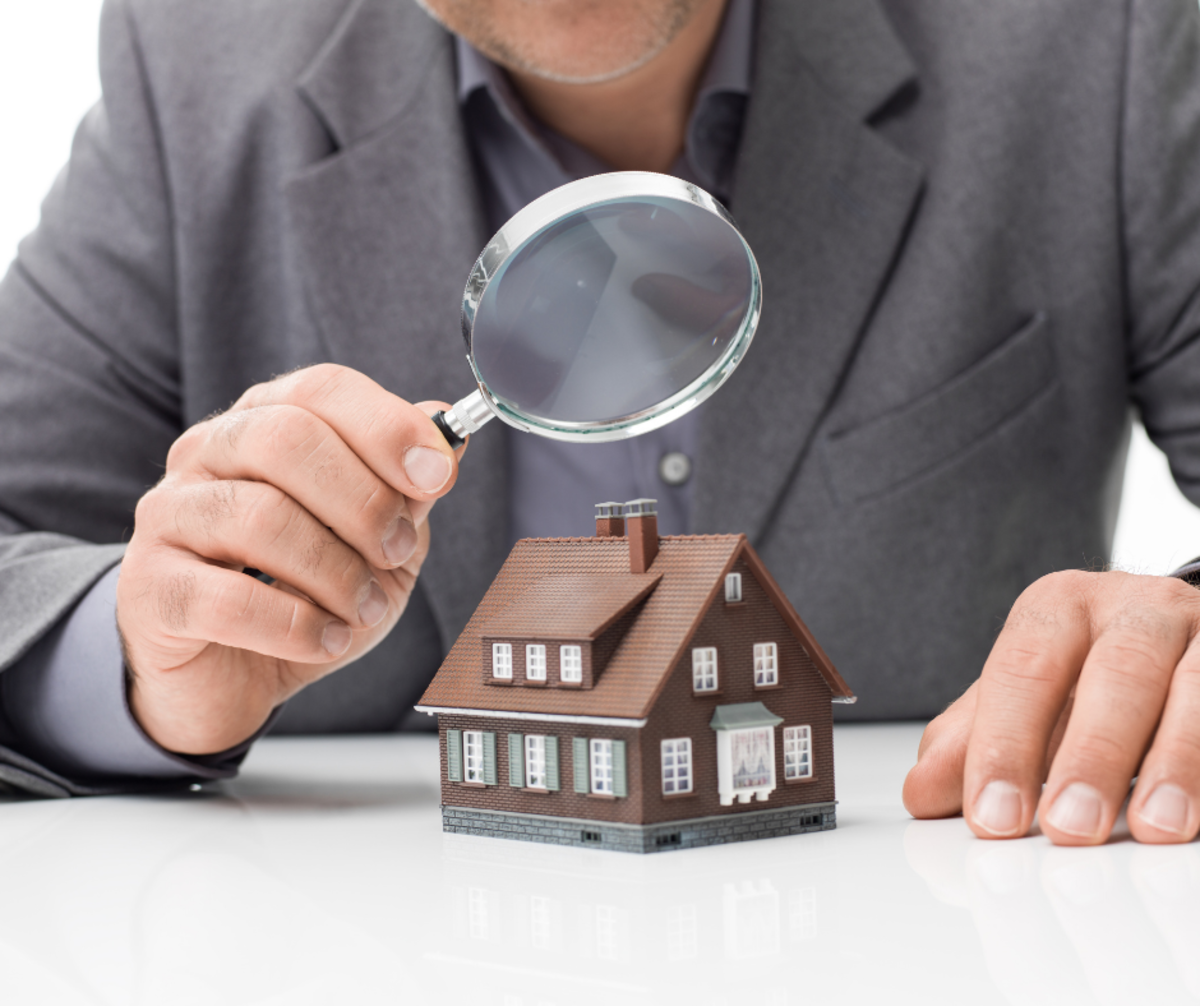 Building and Pest Inspection: 7 Expert Reasons to Get One When You Buy a Home