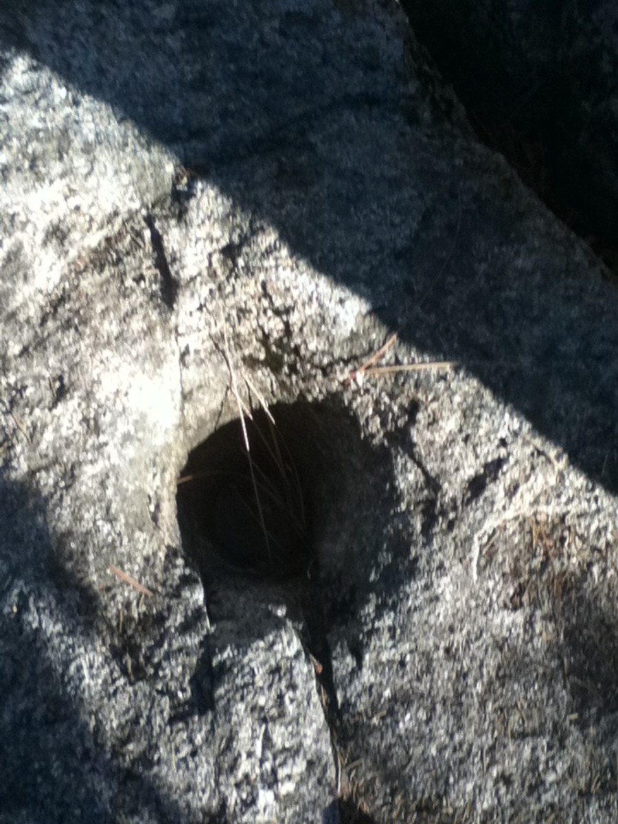 This deep hole used to grind acorn meal was most likely used for over a hundred years.