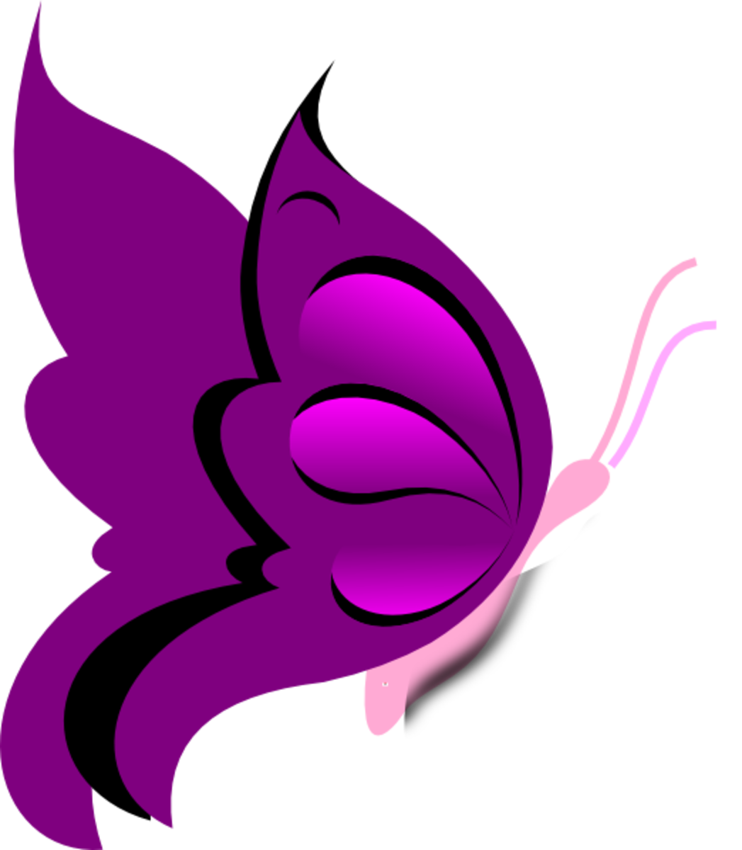 Elegant Purple Butterfly