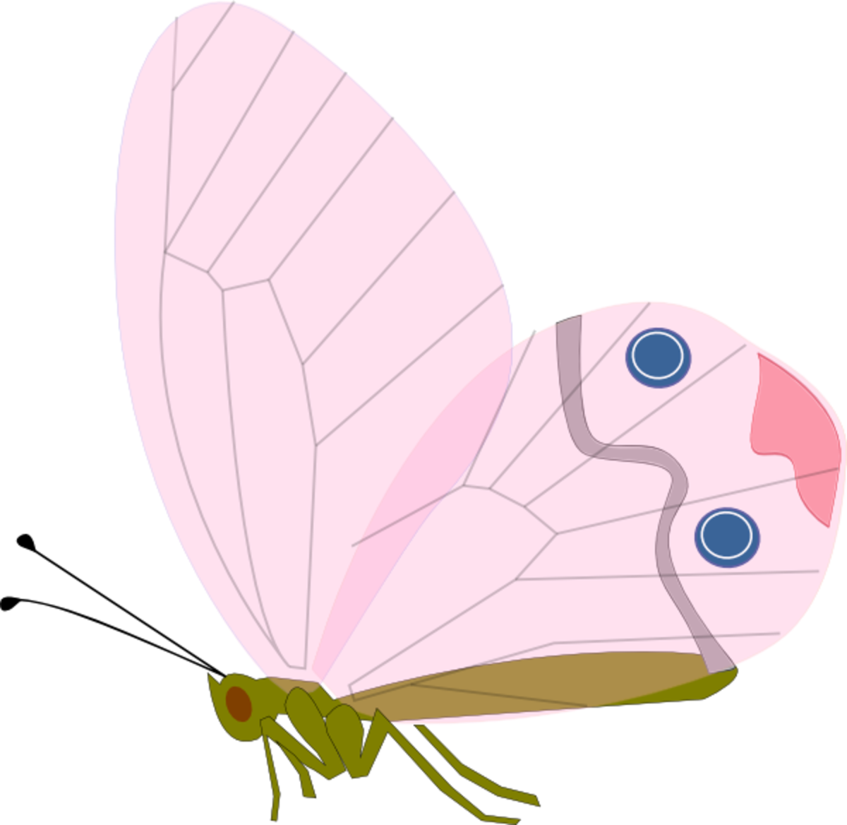 Pastel Pink Butterfly