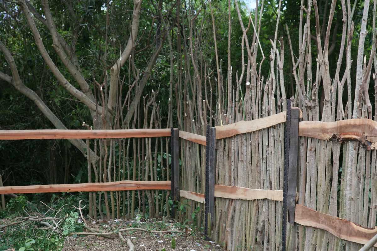 Our fence is made from strawberry guava trunks