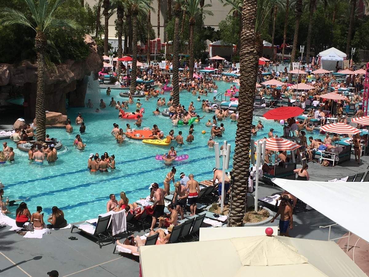 Flamingo Water Slide - Picture of Flamingo Las Vegas Hotel & Casino -  Tripadvisor