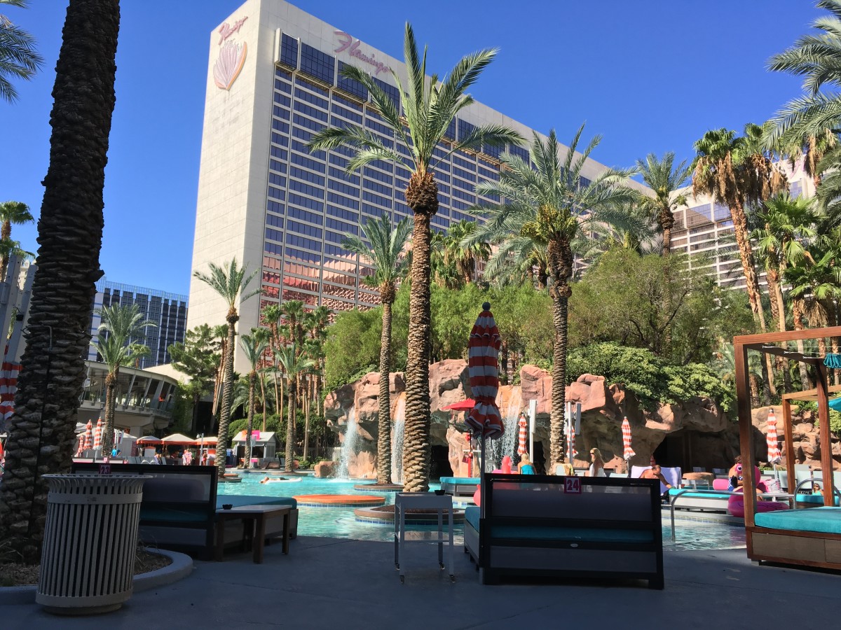 an-honest-review-of-the-flamingo-in-las-vegas