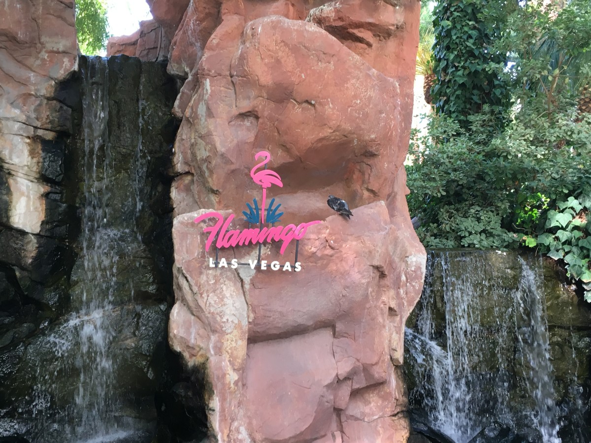an-honest-review-of-the-flamingo-in-las-vegas